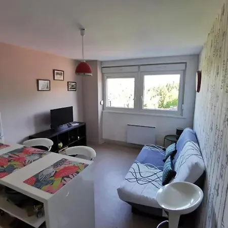 Apartmán Confortable A De 27 M² Gérardmer
