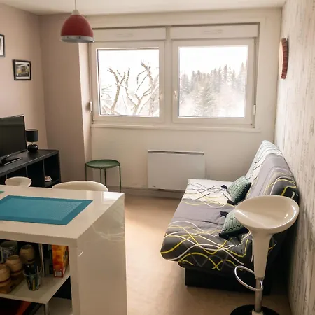 Apartment Confortable A De 27 M² Gerardmer