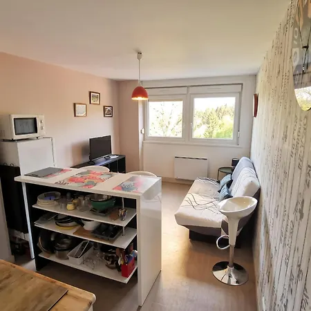 Confortable A De 27 M² Gerardmer