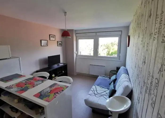 Apartmán Confortable A De 27 M² Gérardmer